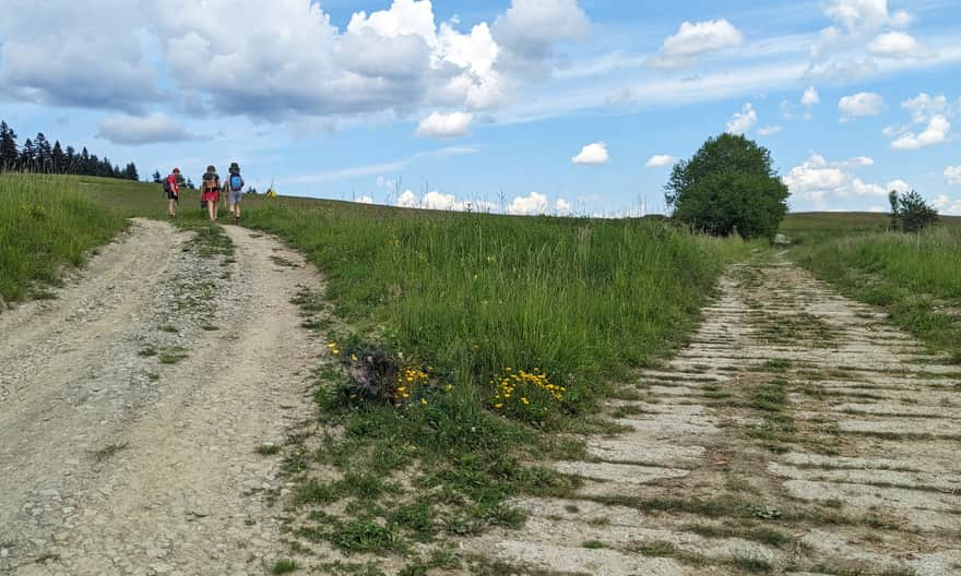 Black Trail from Rabka-Zdrój to Grzebień and to Rabka Zaryte. NOTE: turn left off the paved road here!