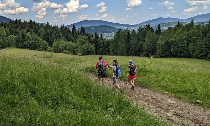 Black trail Grzebień - Rabka Zaryte. View of Lubogoszcz, Śnieżnica, and Ćwilin.