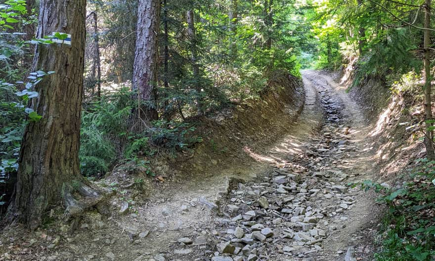 Blue Trail from Rabka Zaryte to Luboń Wielki - steep climb