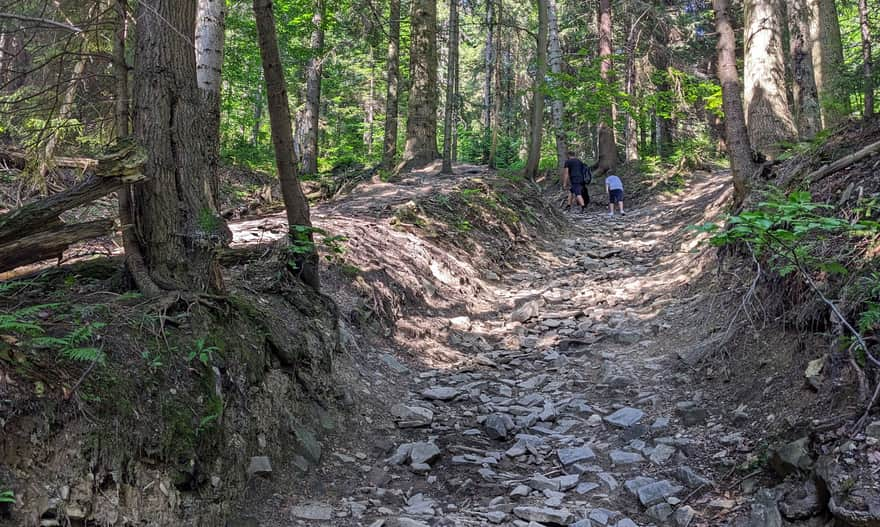 Blue Trail from Rabka Zaryte to Luboń Wielki - steep climb