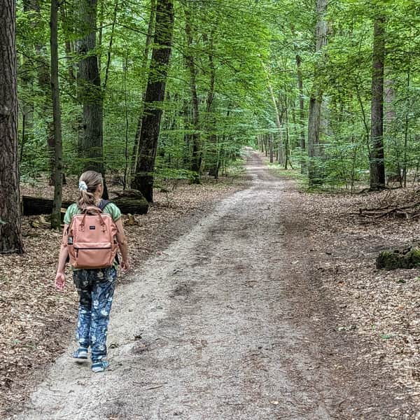 Droga Siedmiu Młynów i Polana Harcerska - trasa spacerowa w Lesie Arkońskim