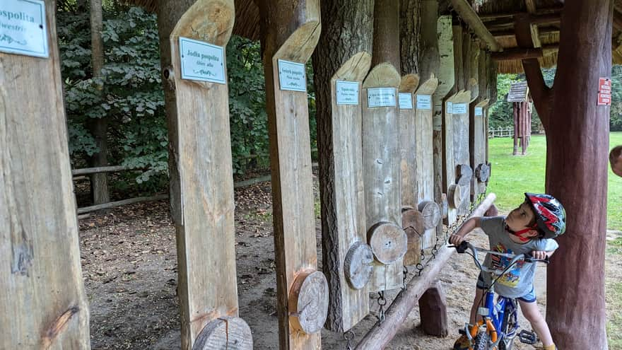 Polana przy parkingu Lasów Rodłowskich (Wierzchosławice)