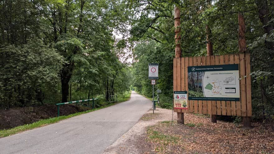 Droga leśna w Lasach Radłowskich