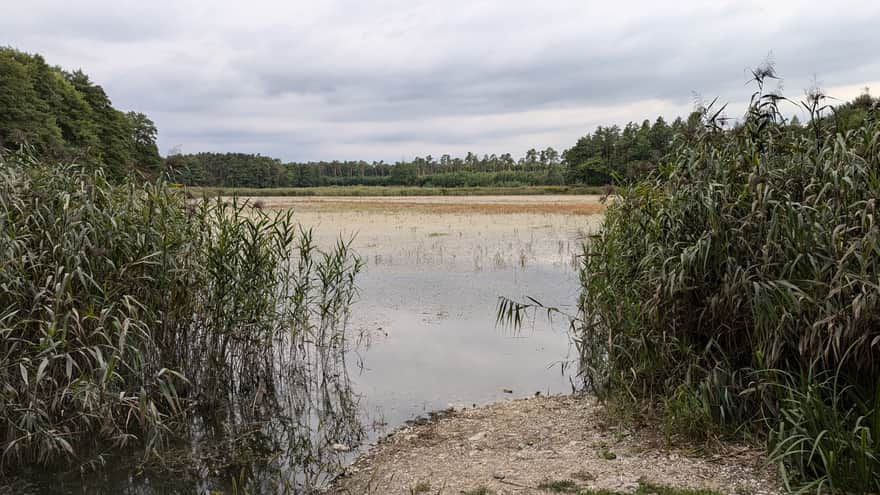 Gospodarstwo Rybackie Wierzchosławice